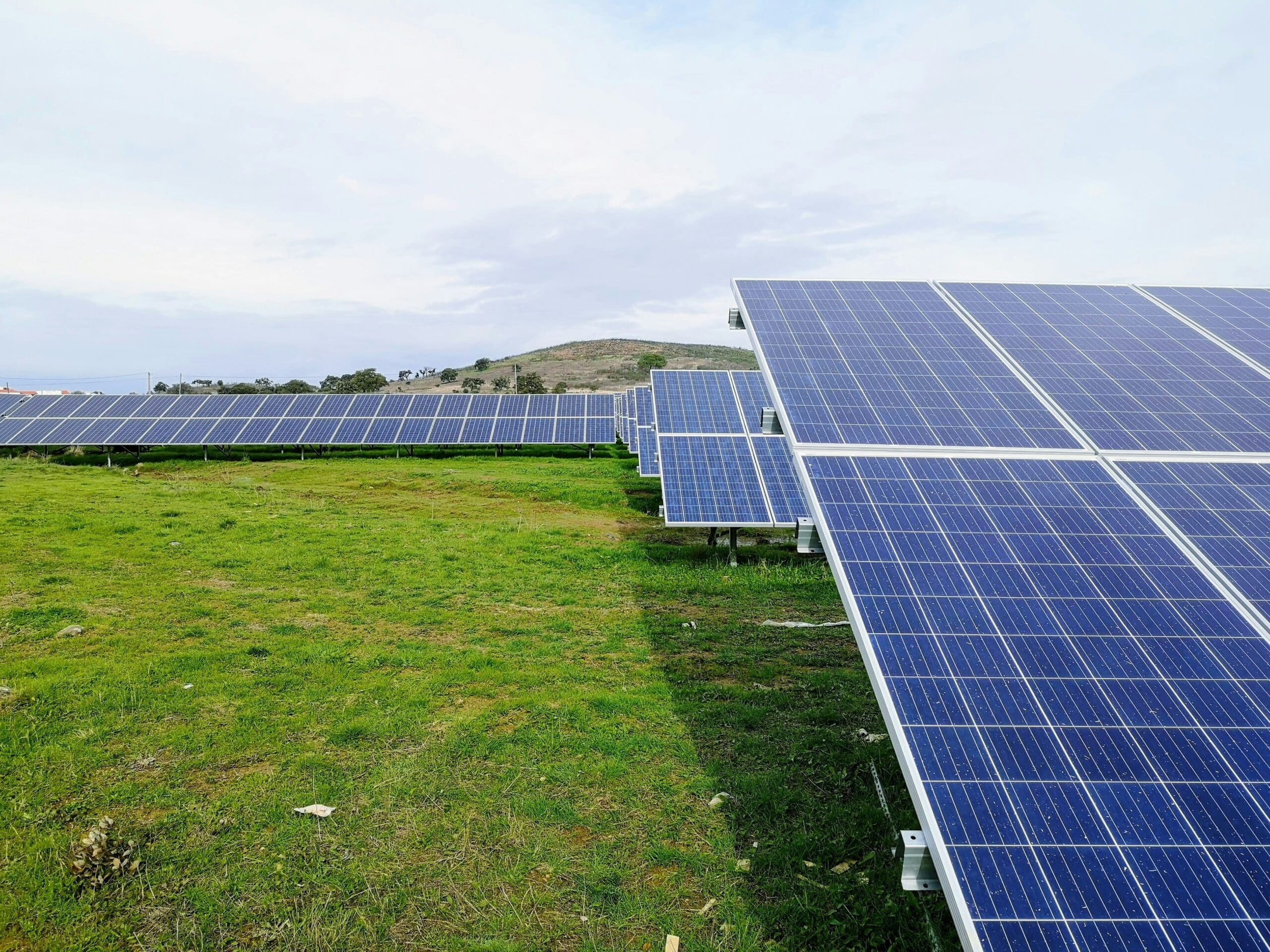 The Intricate Dance of the 250 Watt Solar Panel Price The Intricate Dance of the 250 Watt Solar Panel Price