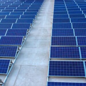 Photo Renogy Solar Panels