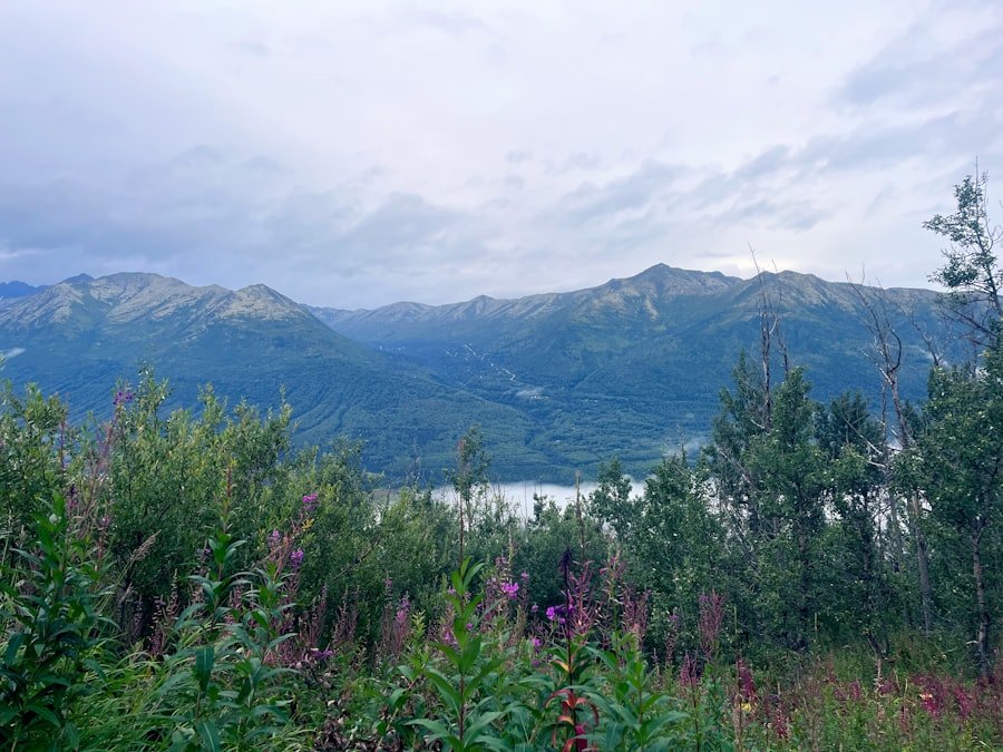 image 49