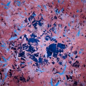 Photo Infrared Imaging