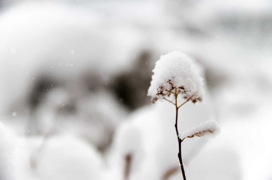 Photo Snow-covered solar panels