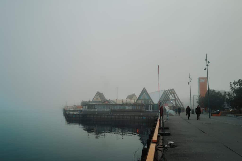 Coastal Solar Panel Installations: Combating Salt Corrosion and Hurricane Risks 1 Photo Salt-resistant panels