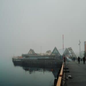 Coastal Solar Panel Installations: Combating Salt Corrosion and Hurricane Risks 18 Photo Salt-resistant panels