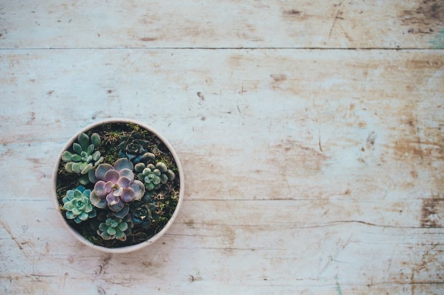 Solar Panel Recycling Innovations: Solving End-of-Life Challenges 2 image 325