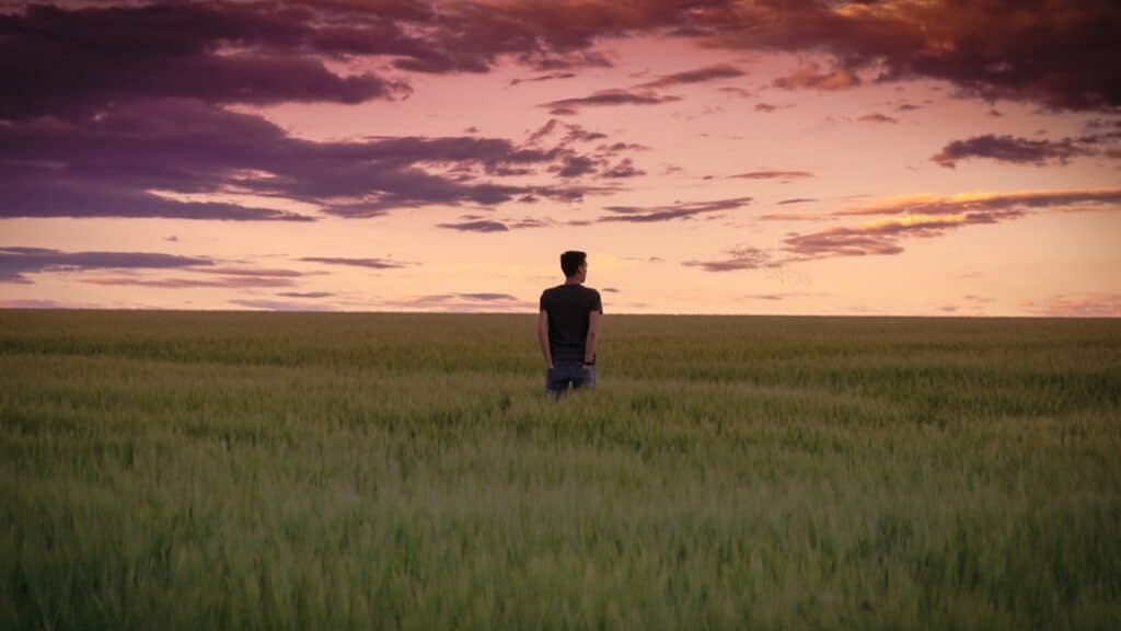 Photo Open field