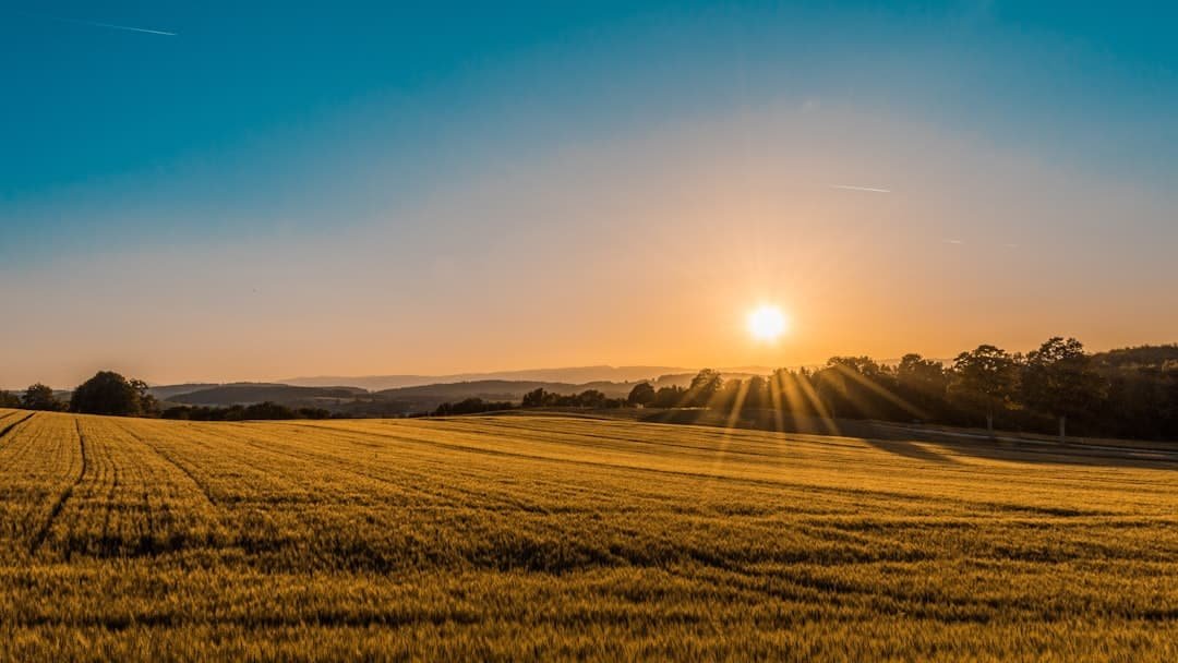 Photo Solar farm
