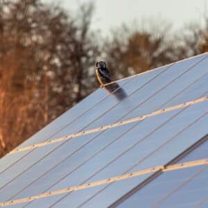 Photo Solar Panels