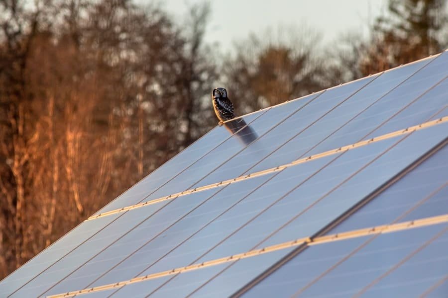 Small Business Owner's Guide to Commercial Solar Panel Installation 3 image 411