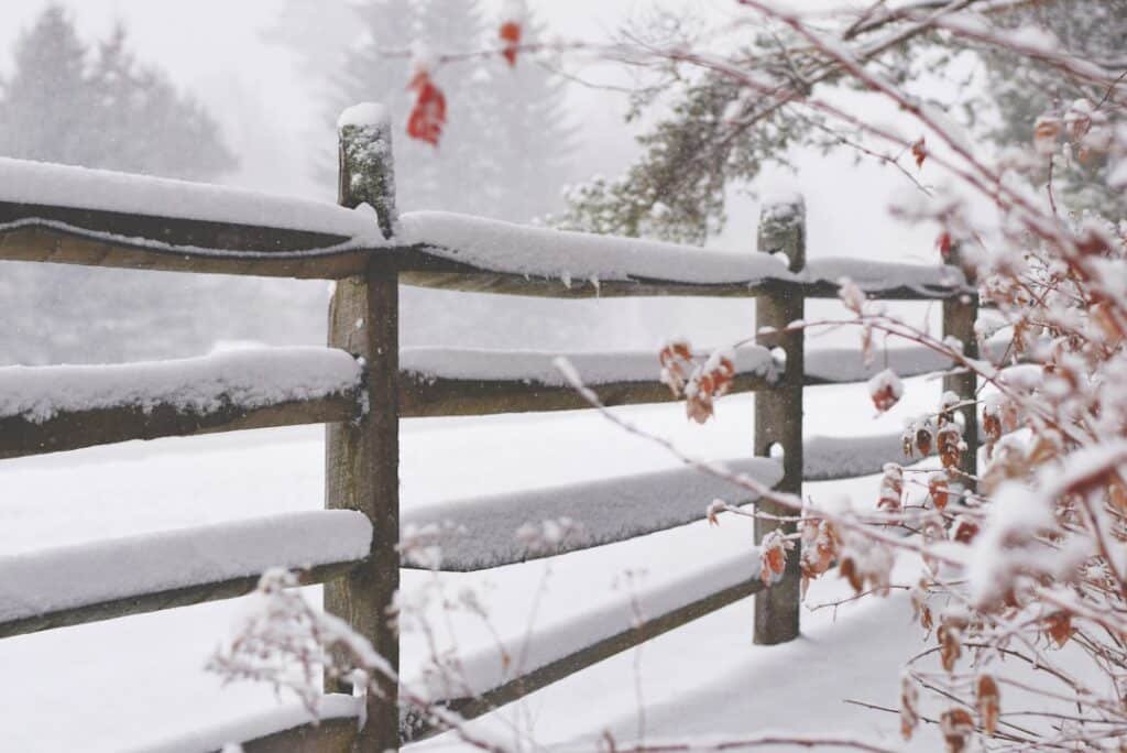 Photo Solar panels in winter