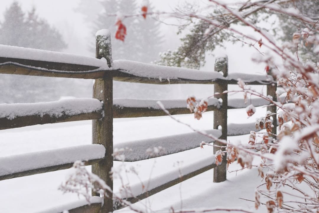 Photo Solar panels in winter
