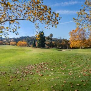 Photo Solar Panel Systems