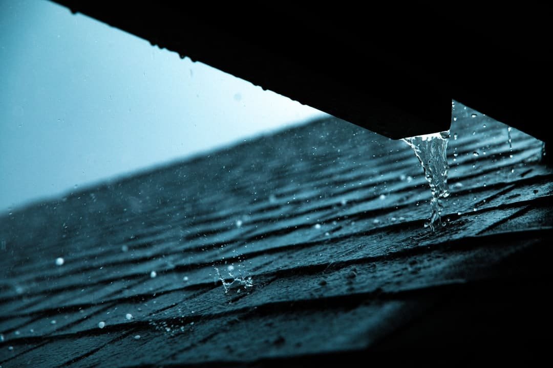 Photo Roof Leak Repair