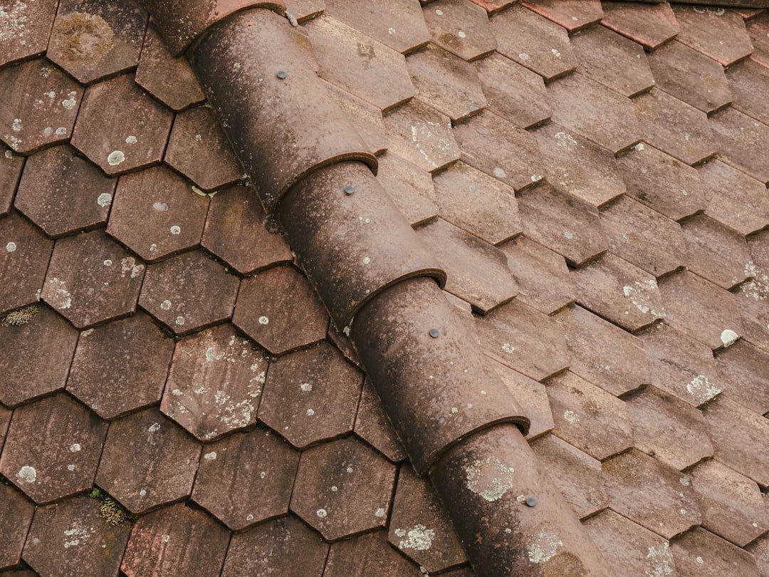 Photo Roof Maintenance